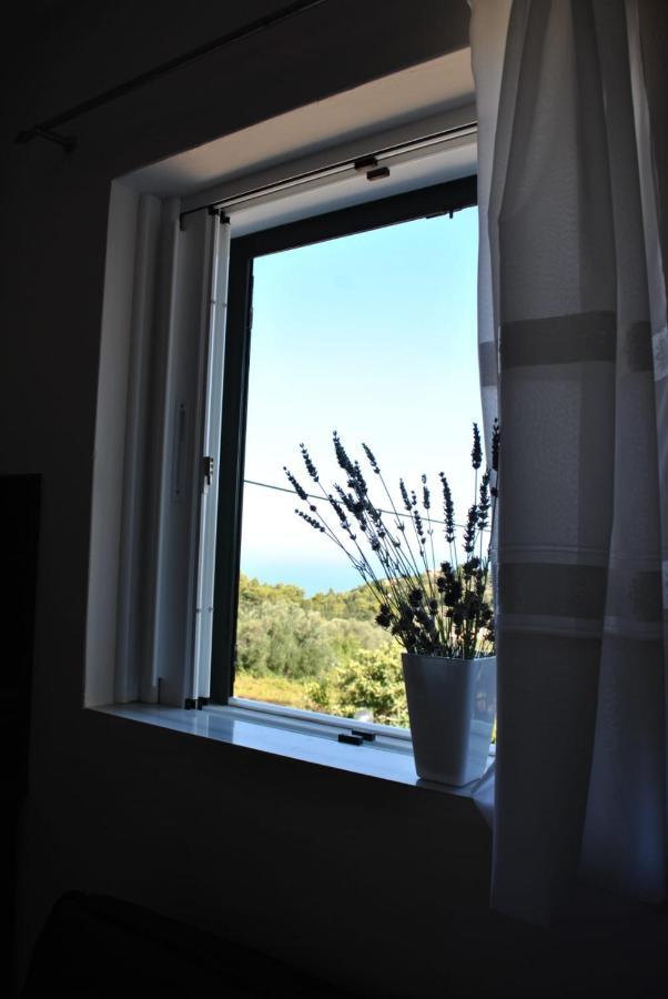 Hotel Monika Lefkada Tsoukaládhes Exteriér fotografie