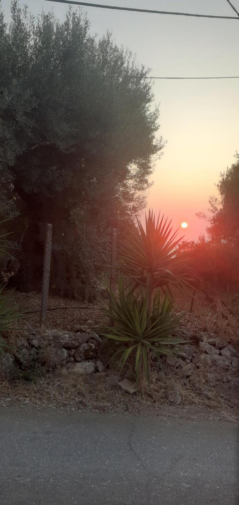 Hotel Monika Lefkada Tsoukaládhes Exteriér fotografie