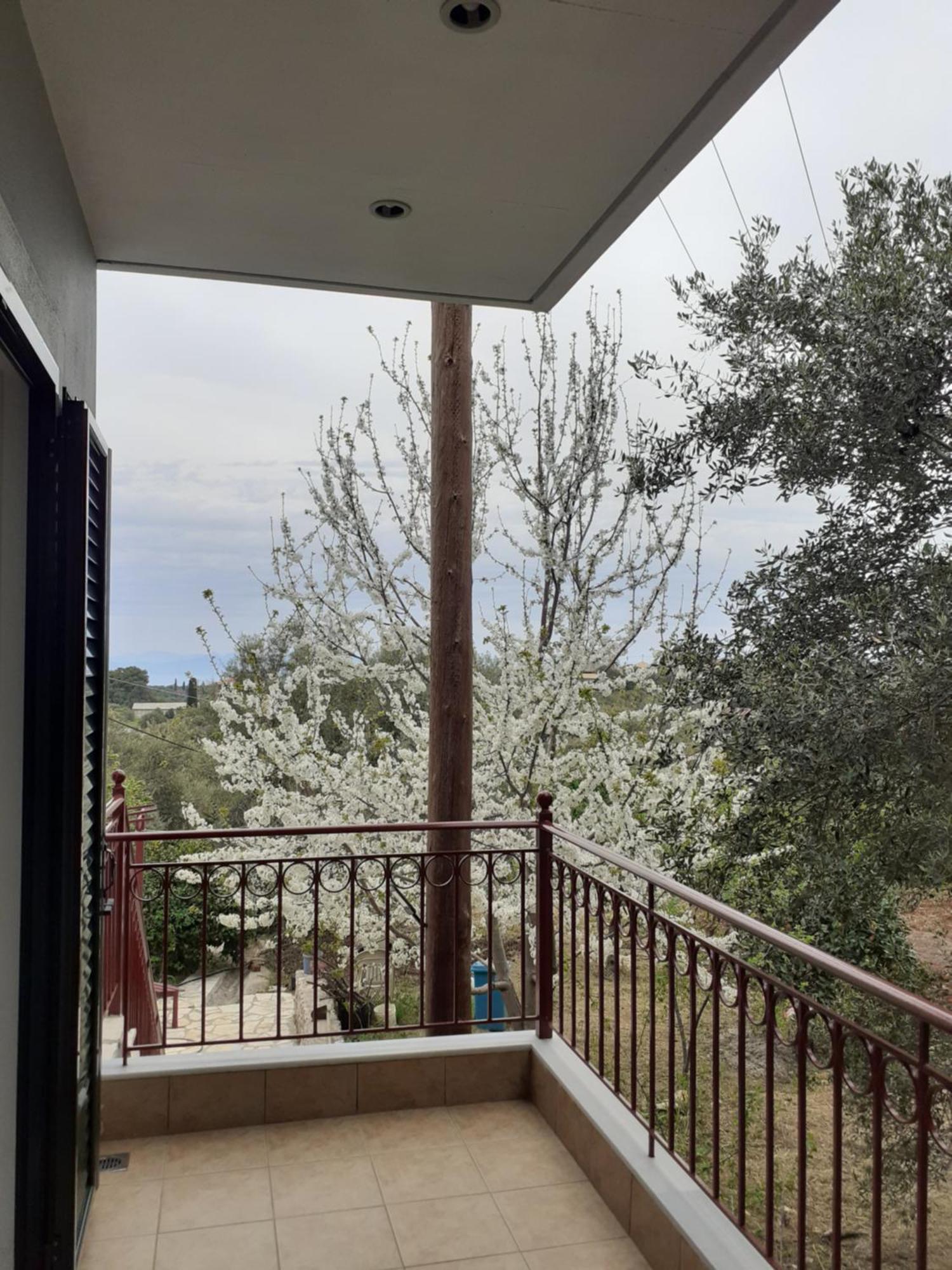 Hotel Monika Lefkada Tsoukaládhes Exteriér fotografie